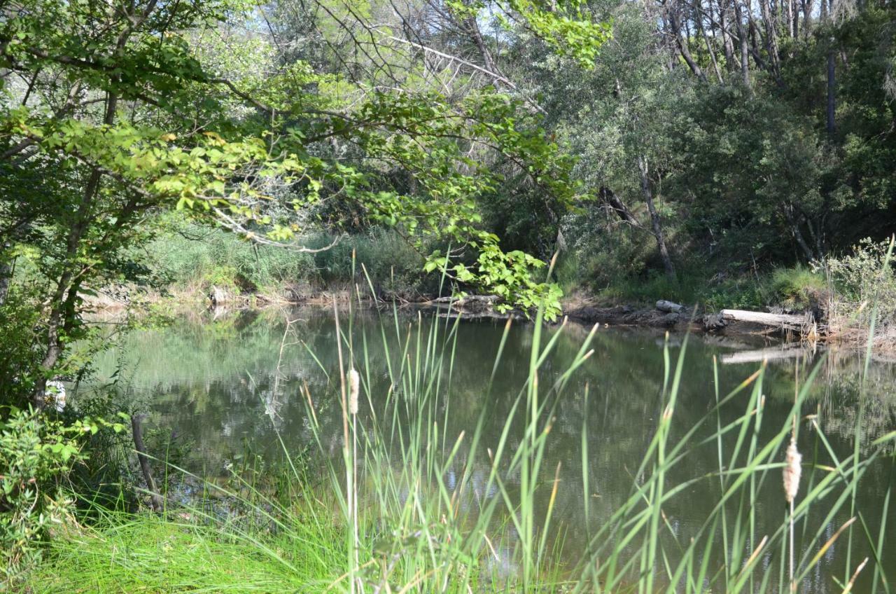 Domaine Hemmitage Leilighet Salernes Eksteriør bilde