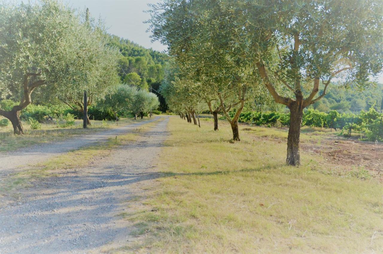 Domaine Hemmitage Leilighet Salernes Eksteriør bilde